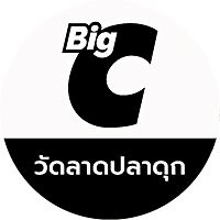 Show profile photo