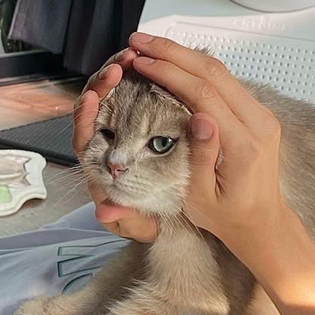 An Image