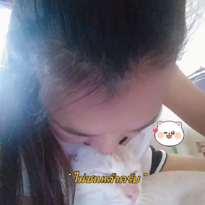 ฝน