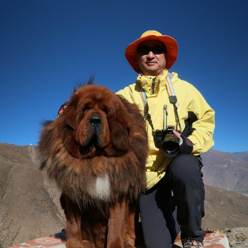 果凍(國棟)的頭像