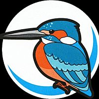 Show profile photo