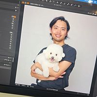 Show profile photo