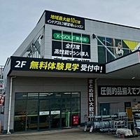 Show profile photo