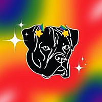 Show profile photo