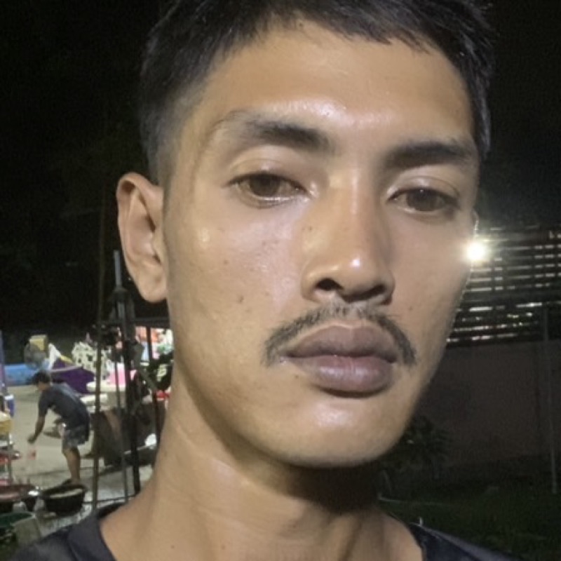 พิชิตพล