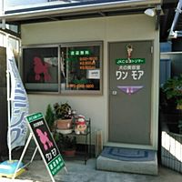 Show profile photo