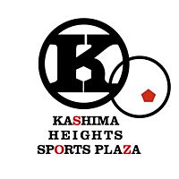 Show profile photo