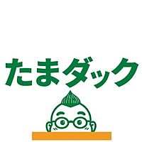 Show profile photo