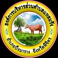 Show profile photo