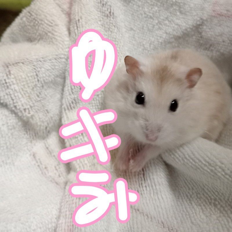 みさこ👂🍠🧊