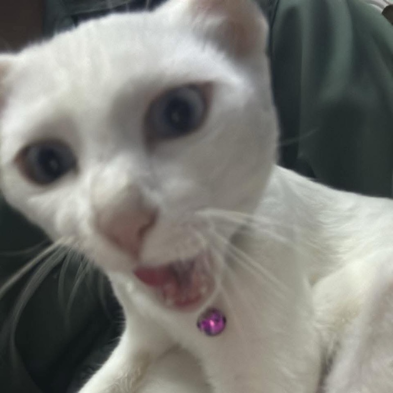 ไอ