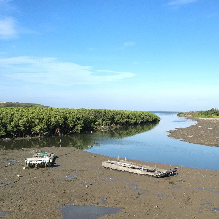 文生貓

文生貓