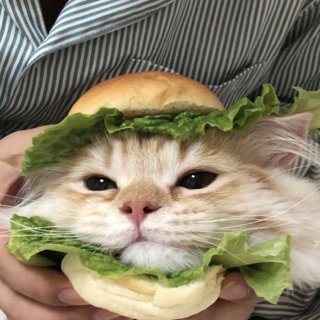 An Image