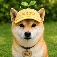 Show profile photo
