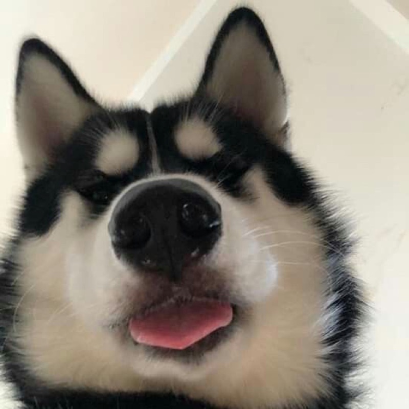 พลอย
