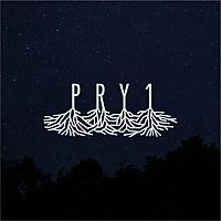 Show profile photo