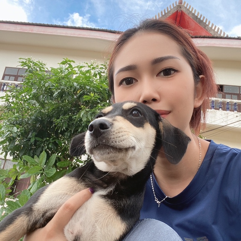 กิ๊ก