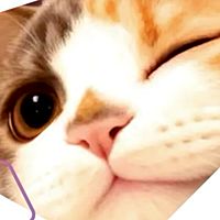 Show profile photo