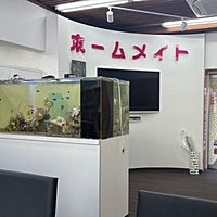 Show profile photo