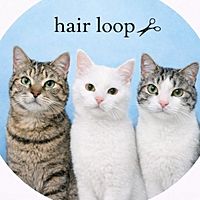 Show profile photo