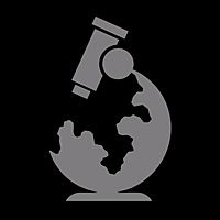 Show profile photo