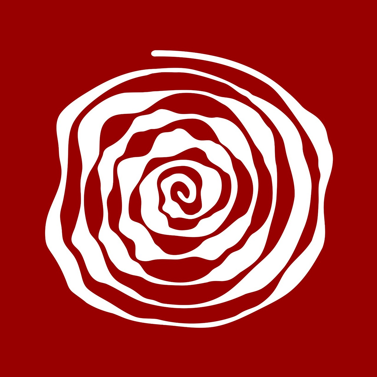 An Image