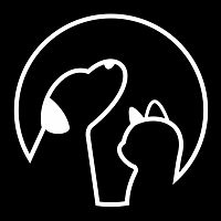 Show profile photo