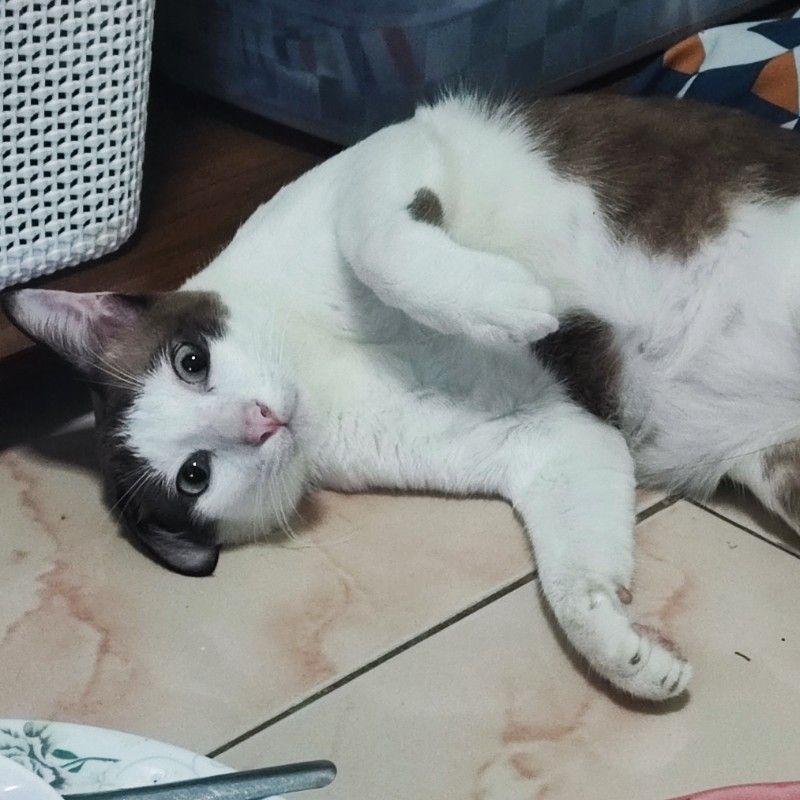 วรรณพร