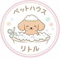 Show profile photo