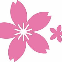 Show profile photo