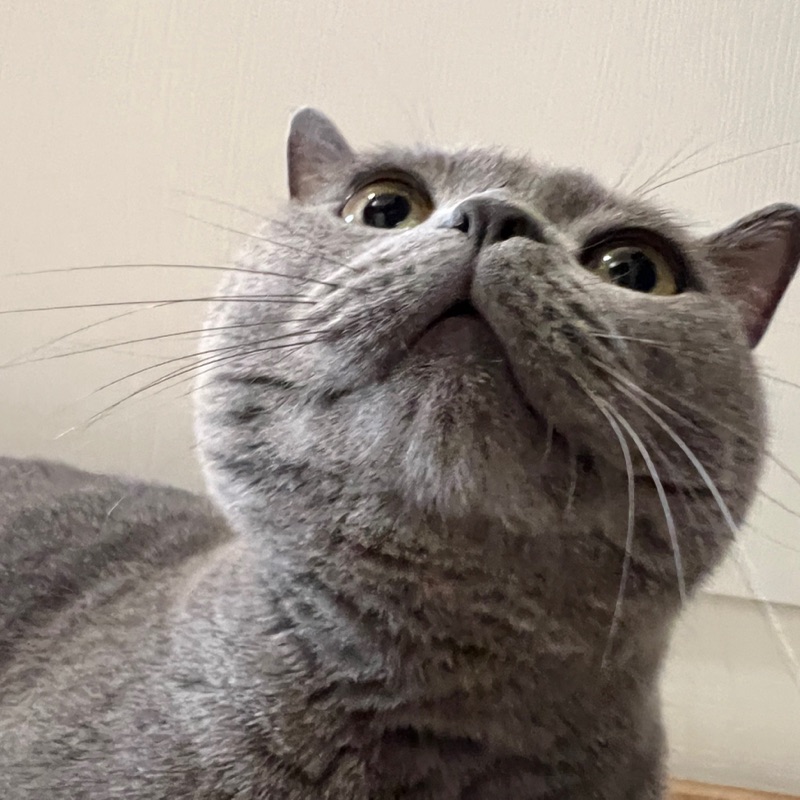 呂**