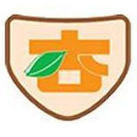 Show profile photo