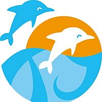 Show profile photo