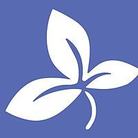 Show profile photo