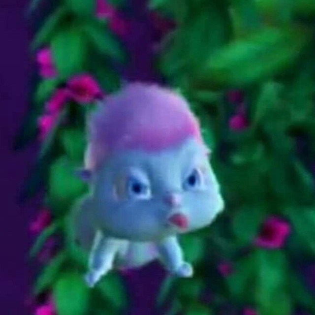 An Image