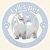 Show profile photo