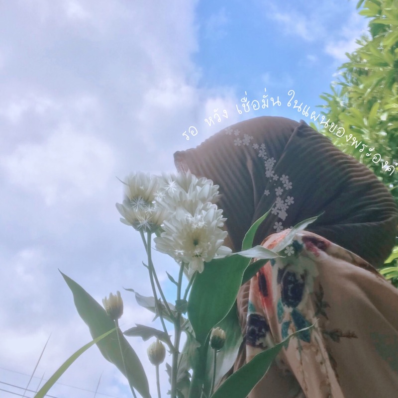 เมชิตา