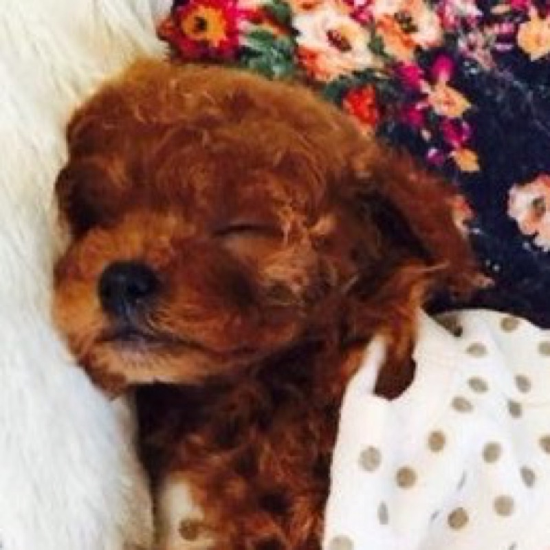 株式会社FreeLife