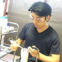 Show profile photo