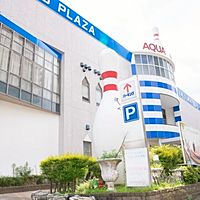 アクアユーカリ