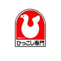 Show profile photo