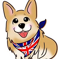 Wish English School