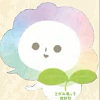 Show profile photo