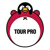 Show profile photo
