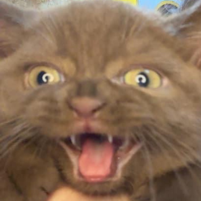 An Image