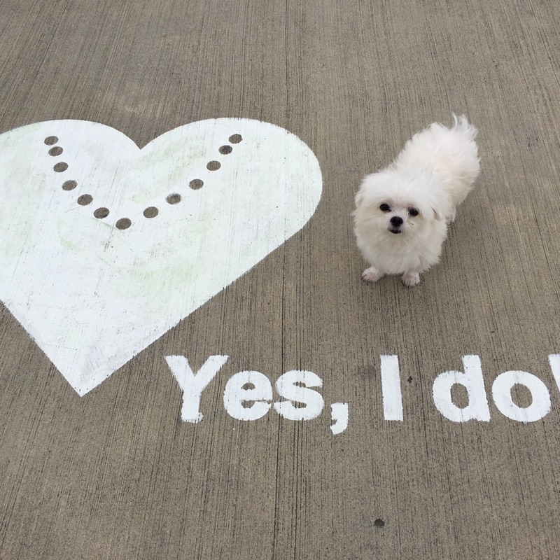 TSAI . CHIH-HUNG的頭像