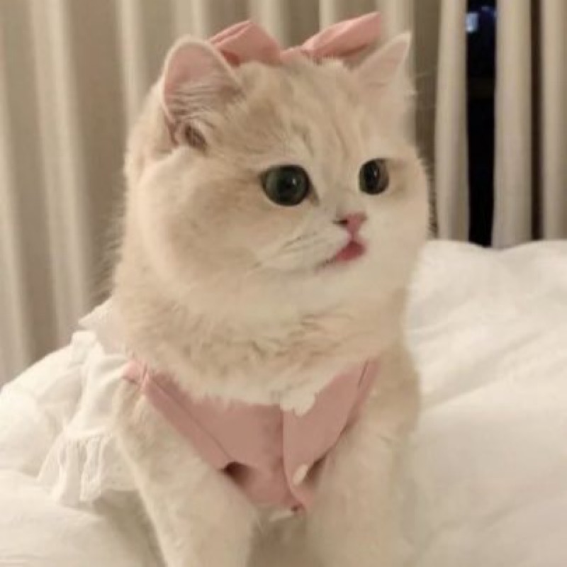 あむ