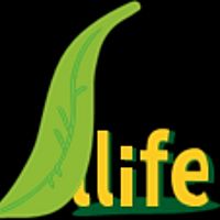 Show profile photo