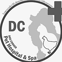 Show profile photo