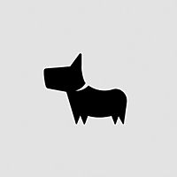 Show profile photo